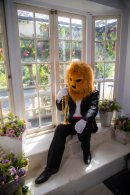 トランペット インドライオン トランペット インドライオン