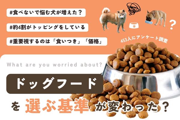 愛犬の食いつきに悩む飼い主が増えた？ドッグフードを選ぶ基準3位「価格・仕様」2位「原材料」1位「○○」【飼い主453人アンケート】