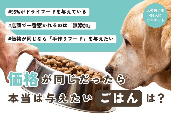 飼い主が本当に与えたいドッグフードは？同じ価格帯なら○○を与えたい飼い主が4割以上！「価格が高くて手が出せない」の声も【飼い主453人アンケート】