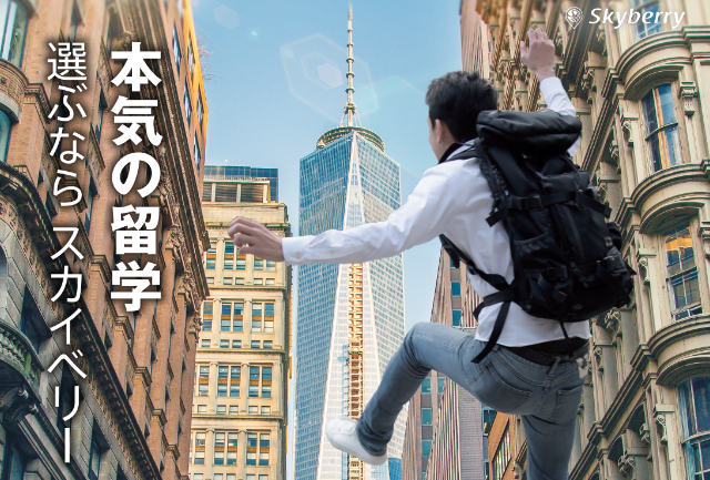 スカイベリー(R)WiFi　留学生向けプランの利用可能国、最大66の国と地域に拡大