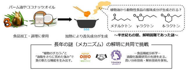 日清オイリオグループと東北大学の共同研究成果　油脂に由来するおいしさを司る香気成分の生成メカニズムを解明
