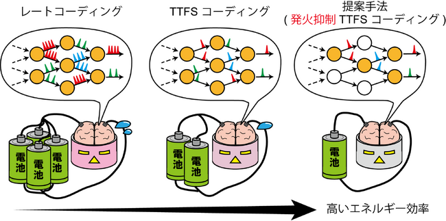 時間符号スパイキングニューラルネットワークの発火頻度を低減した学習に成功