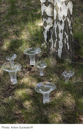 イッタラ展　フィンランドガラスのきらめき　iittala Stars of Finnish Glass