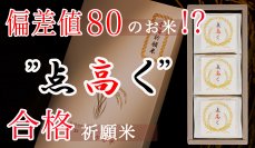 元高校教師の農家が作った富山県産の合格祈願米「点高く」　Makuakeでの先行予約販売が1月19日開始