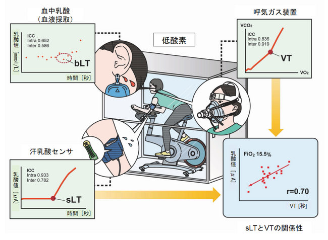 低酸素トレーニングでの運動負荷レベルを簡便に決定可能な評価手法を開発