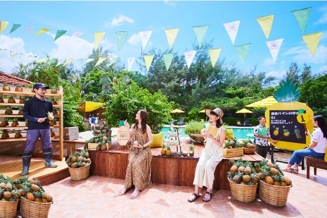 【星野リゾート　西表島ホテル】桃の香りがするピーチパインをとことん楽しむ「春のピーチパイン祭り」開催｜期間：2024年4月20日～6月15日