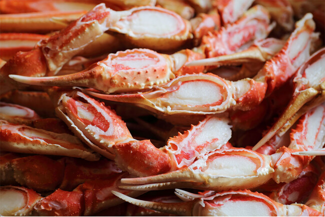 本ズワイ蟹の食べ放題を堪能！2月29日までの期間限定で宿泊プランと日帰りプランを販売中
