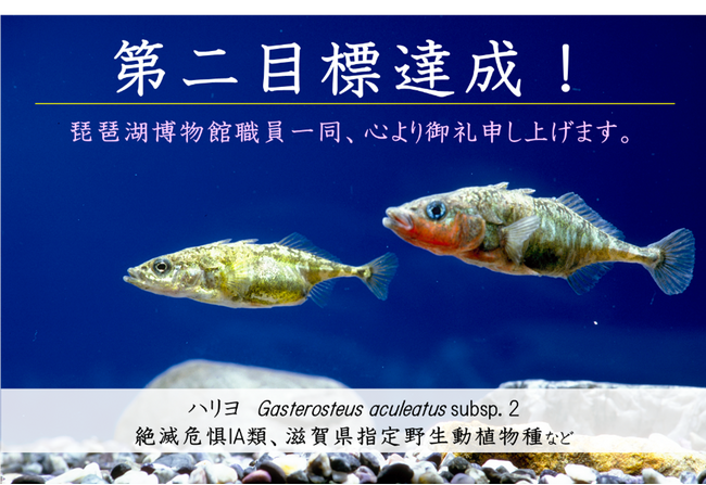 水族展示の復旧に関するクラウドファンディング 第二目標の目標金額1,000万円を66日間で達成！