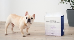 愛犬のおしっこを素早く吸収し、表面はいつでもサラッと快適！漏斗形の細かいメッシュが、気になる“足への漏れ移り”を強力に防止してくれるペットシーツが新登場