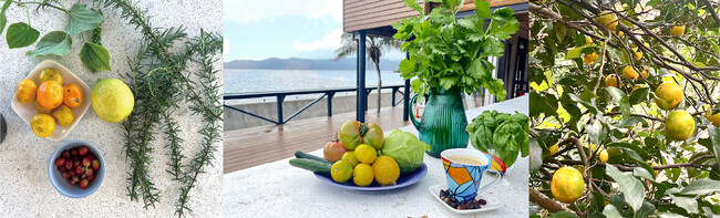奄美大島のアペリティフスタイルのワインバー「tlass SEA CELLAR BAR Beach Club」京野菜の第一人者、老舗フレンチ＜Eventail＞奄美地産食材コースを提供