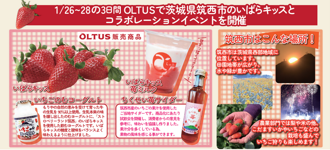 OLTUS新宿マルイ店で「筑西市いばらキッス×OLTUSいちごフェア」１月２６日より3日間開催