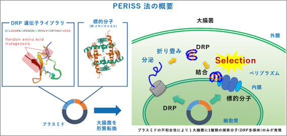 杏林製薬株式会社との共同研究契約締結のお知らせ