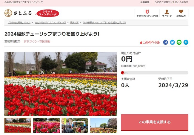 茨城県稲敷市とさとふる、「稲敷チューリップまつり」開催のため寄付受け付けを開始