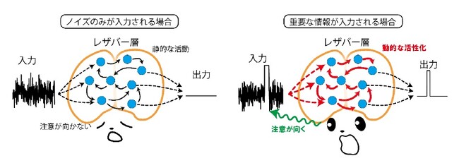 神経修飾機構を模した自己制御機能の導入によるレザバーコンピューティングの高性能化