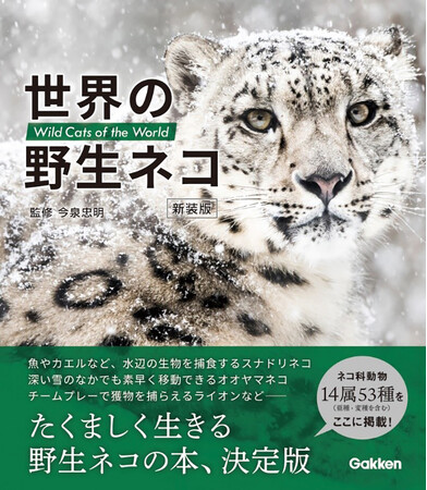 【ネコ好き必携！】ペットのネコではなく、野生に生きる肉食獣としてのネコ科動物たちを、美しい写真と詳細なデータで紹介。『世界の野生ネコ　新装版』発売！！