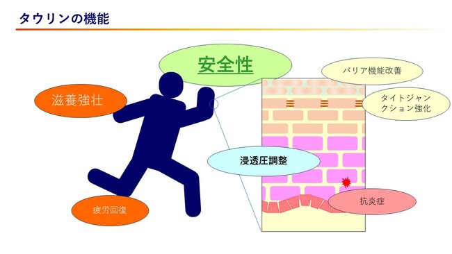 タウリンの美容成分としての働きに新知見