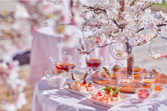 【星野リゾート　トマム】焼きたてのお花見団子に10種類のトッピングをのせて楽しむ「お花見団子アフタヌーンティー」提供｜期間：2024年4月26日～5月31日