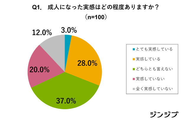 18歳「成人の実感」についてのアンケート【高卒社会人向け】
