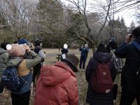 【2024年2月4日（日）開催！】桜ヶ丘公園『自然観察会』