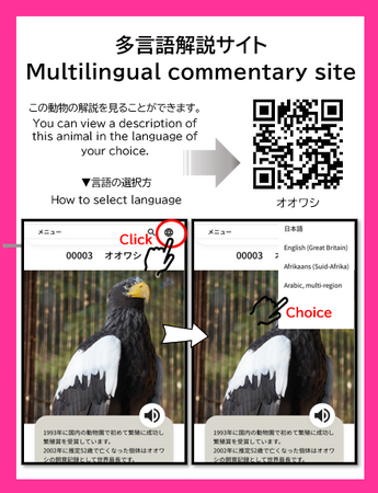 【札幌市円山動物園】多言語解説サイトの試行利用開始
