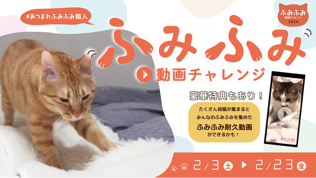昨年大好評の企画が今年も！猫ちゃんだけの最強しぐさ「ふみふみ動画チャレンジ2024」実施