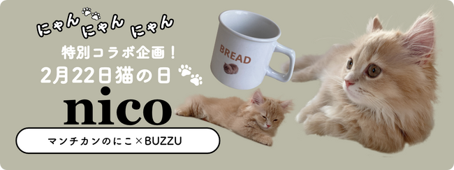 2月22日、ねこの日を記念した期間限定の特別企画！大人気にゃんスタグラマー「マンチカンのnicoちゃん」がスタンプとして登場