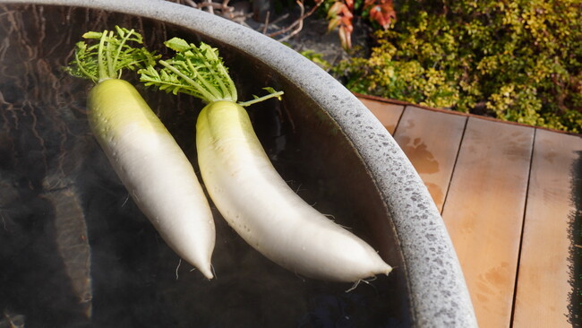 元湯 森の湯×JAふじ伊豆　廃棄対象の箱根西麓野菜を温泉で有効活用　SDGsな「三島大根の湯」開催！