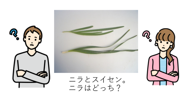 「有毒植物の見分け方講座」参加者を募集します