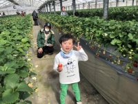三浦の早咲き桜の季節に行く！「三浦半島でたっぷり遊ぶバラエティーツアー」