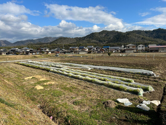大阪・梅田の『SDGsオーガニックショップ栞～siori～』が自社農園で野菜の栽培と店頭販売を開始