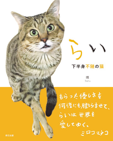 下半身不随で殺処分寸前だった猫「らい」がたくましく生きる姿に元気と幸せをもらう 書籍『らい 下半身不随の猫』が発売