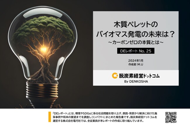 バイオマス発電の未来は?~木質バイオマス発電の課題とカーボンゼロの本質~