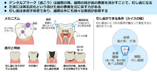 従業員の口腔・歯の健康維持および増進に向け、予防歯科の取り組みを拡大