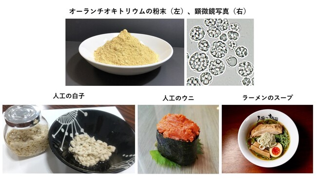ユーグレナ社、藻類大量培養技術の強みを活かし、新素材「オーランチオキトリウム」の生産体制を構築、商業生産開始