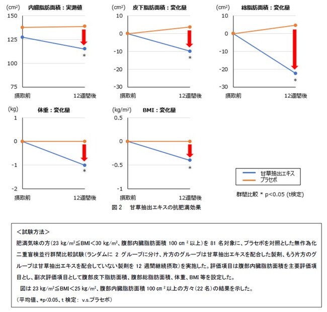 ロートグループの独自素材甘草抽出エキスが肥満気味の方に対して抗肥満効果があることを確認