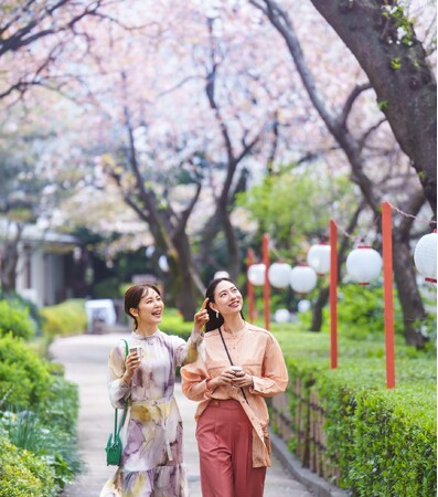 【高輪エリアのプリンスホテル】日本庭園の桜が織りなす趣深い絶景と京文化体験を愉しむ 心と体が満たされる「高輪 桜まつり 2024」を開催