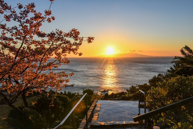 眼福！絶景の露天風呂に咲くカレンな「河津桜」で朝日、青い海と空、夜桜を堪能。