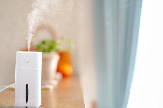 乾燥が気になる冬！加湿器は使っている？種類や収納に関する調査