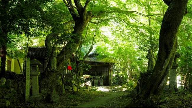 世界遺産「真言宗御室派総本山 仁和寺」との包括連携協定を締結