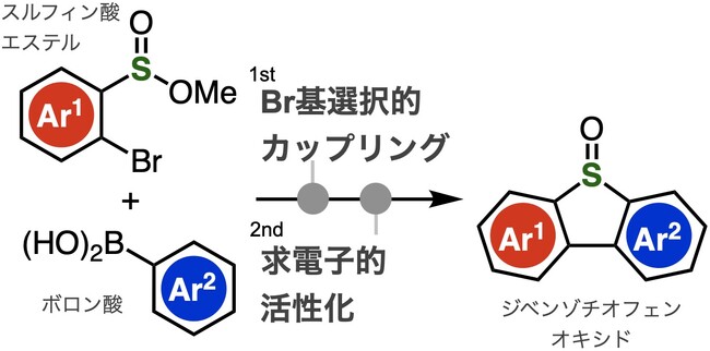 広範なジベンゾチオフェンオキシドを簡便合成する手法を開発