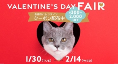 愛するペットに贈る♪OFTSTOREでは、バレンタインクーポンがもらえる“バレンタイン フェアがスタートします♪