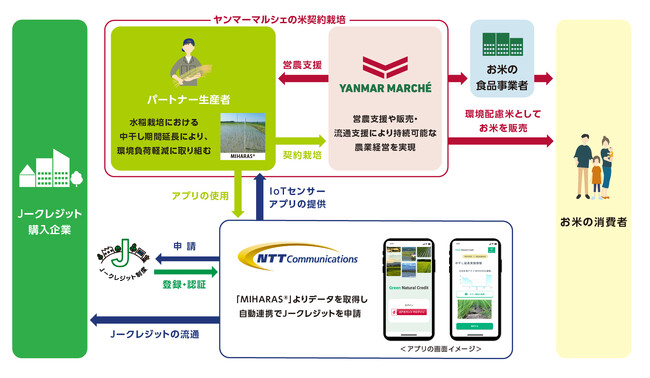 ヤンマーマルシェとNTT Com、「水稲栽培における中干し期間延長の方法論」 によりJ―クレジットを創出、NTT Comが販売を開始
