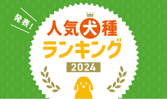 最新版！『人気犬種ランキング2024』