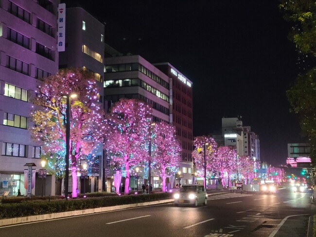【2月14日限定】Himeji大手前通りイルミネーションを特別カラーに演出します