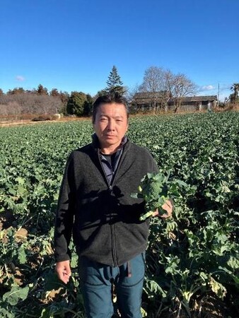 今年の旬のブロッコリーは「値頃感があり、高品質」