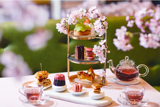 【OMO7旭川 by 星野リゾート】満開の桜の下で、ホテルご近所の春スイーツを楽しめる「桜香るアフタヌーンティー」提供｜期間：2024年4月27日～5月31日