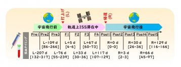 長期宇宙滞在ミッションに伴うヒト血清プロテオーム変化を解明