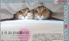 スポニチアーカイブス２月号１面