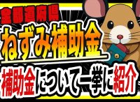 ネズミ駆除補助金の全情報を公開｜害獣駆除対策センター
