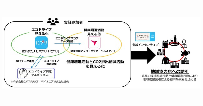 DATAFLUCT、BIPROGYなどと共同でドライブデータと健康データを連携、エコドライブと健康増進活動を地域で使えるポイントとして還元し「環境・健康・地域経済」の活性化を目指す実証実験を実施
